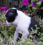 2006-1006-1055.jpg
